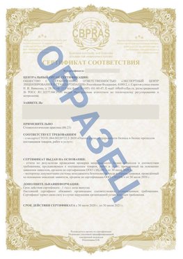 Образец Сертификат СТО 01.064.00220722.2-2020 Минусинск Сертификат СТО 01.064.00220722.2-2020 
